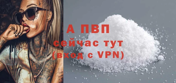 спиды Приозерск
