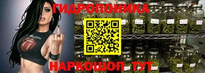 ешки Гатчина