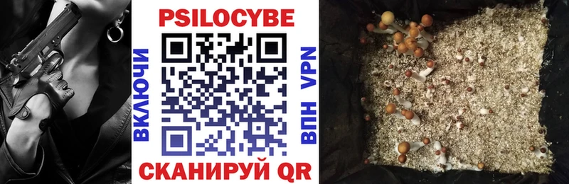 магазин продажи   Торжок  даркнет телеграм  Галлюциногенные грибы прущие грибы 