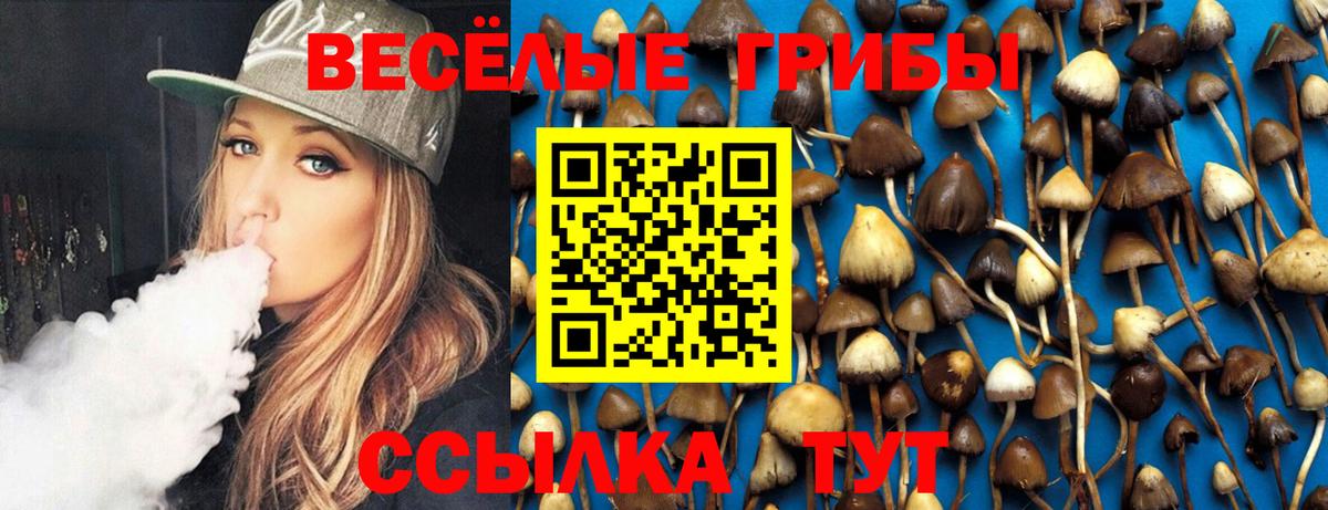 Псилоцибиновые грибы ЛСД  Торжок 