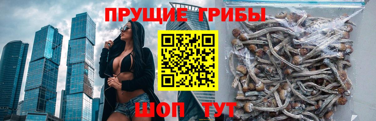 Галлюциногенные грибы GOLDEN TEACHER Торжок