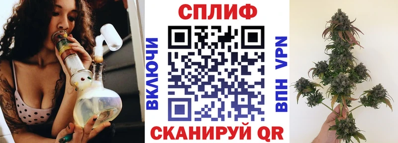 Бошки марихуана ГИДРОПОН наркотики кракен рабочий сайт Торжок